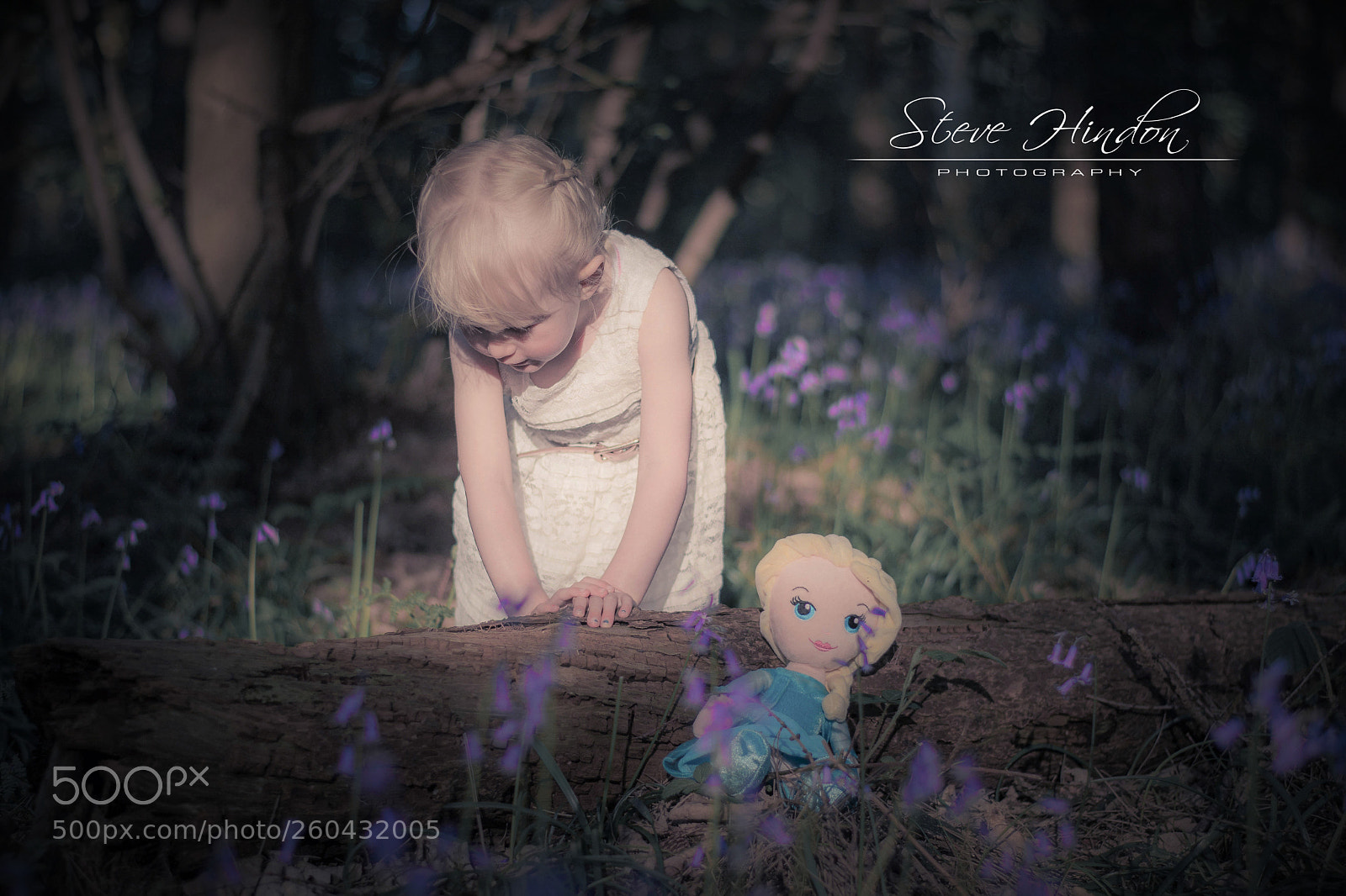 Nikon D7100 sample photo. Lilly photography