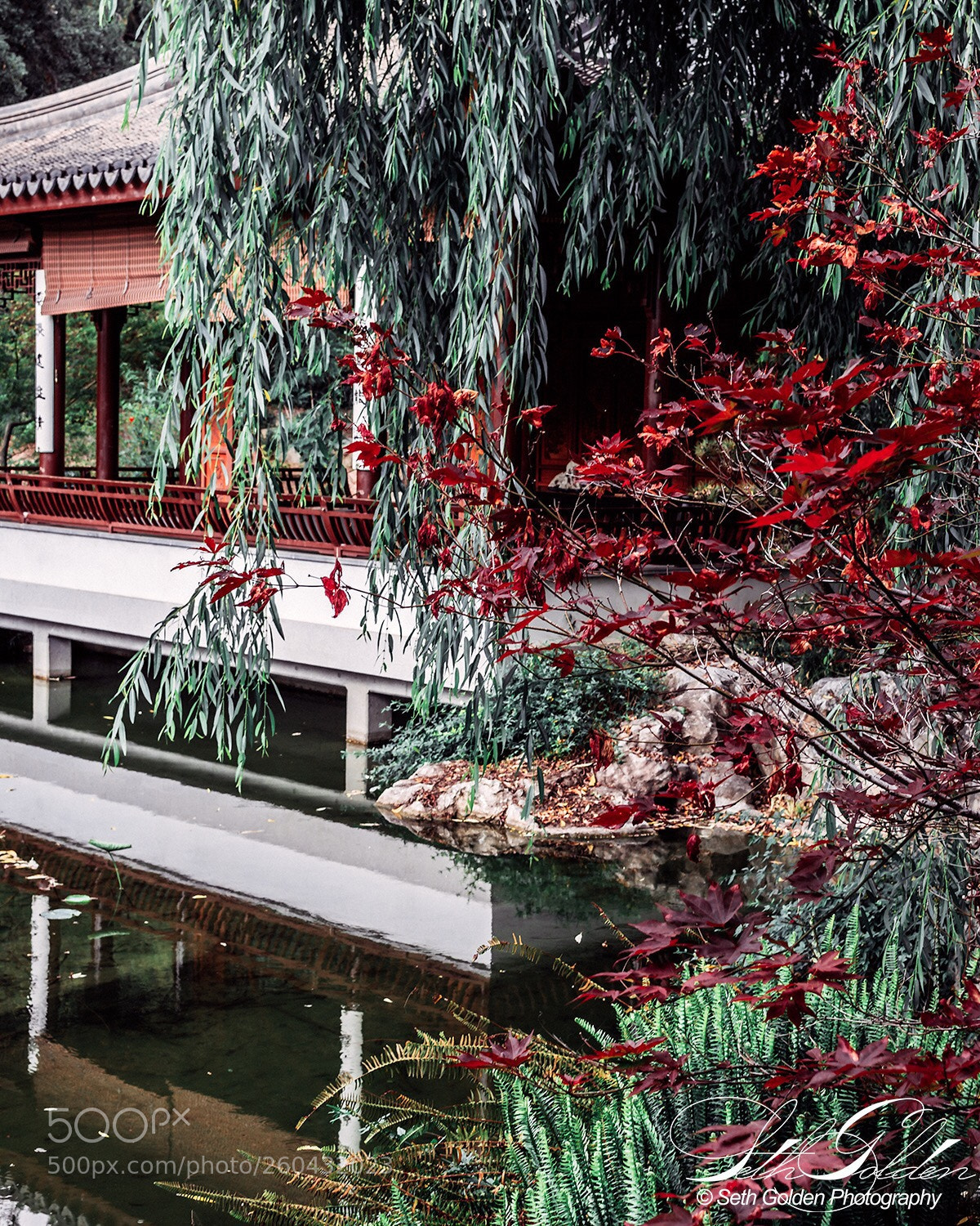 Sony a6000 sample photo. Japanese gardens photography