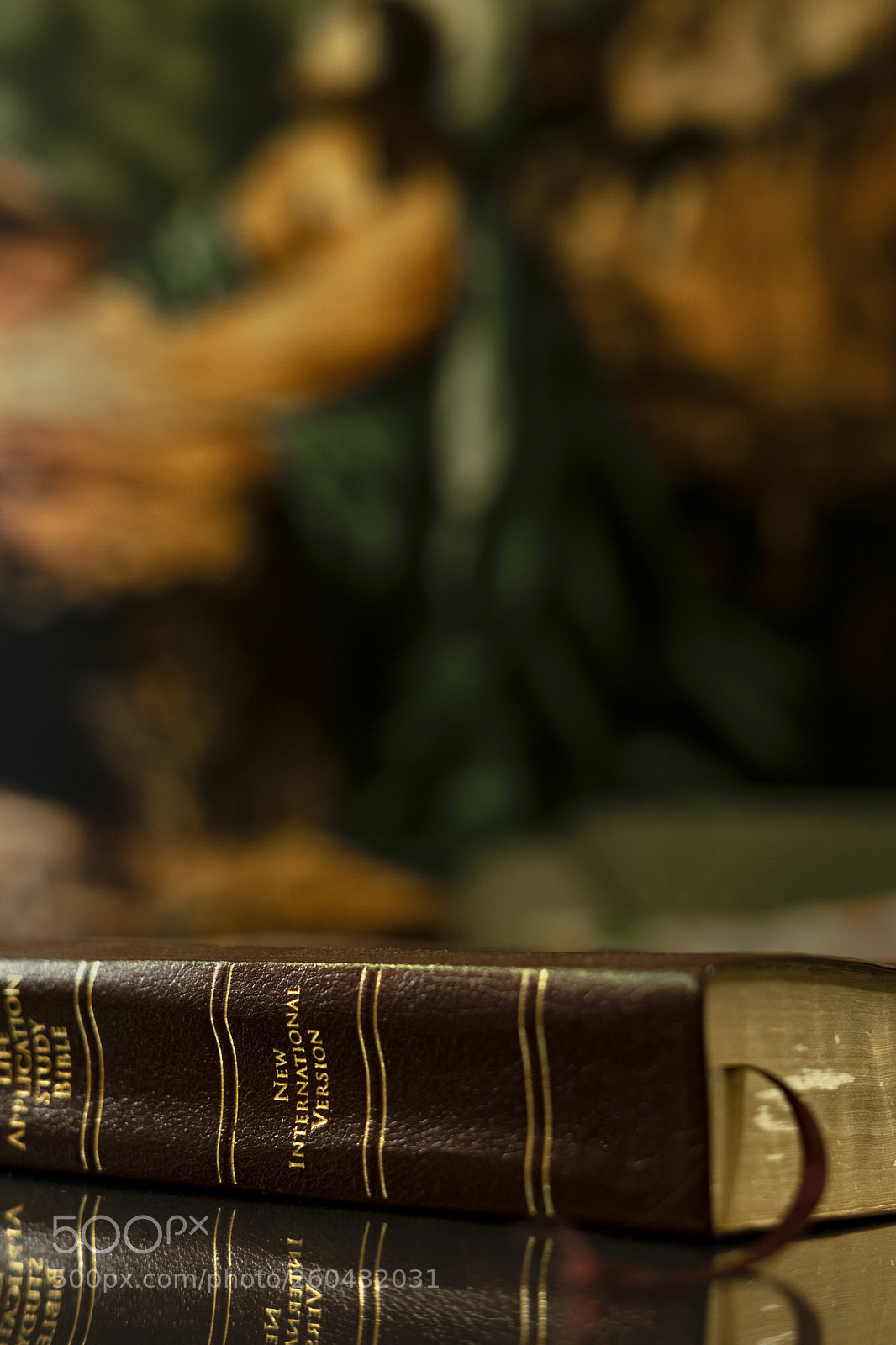 Sony a7 II sample photo. Reflecting on god's word photography