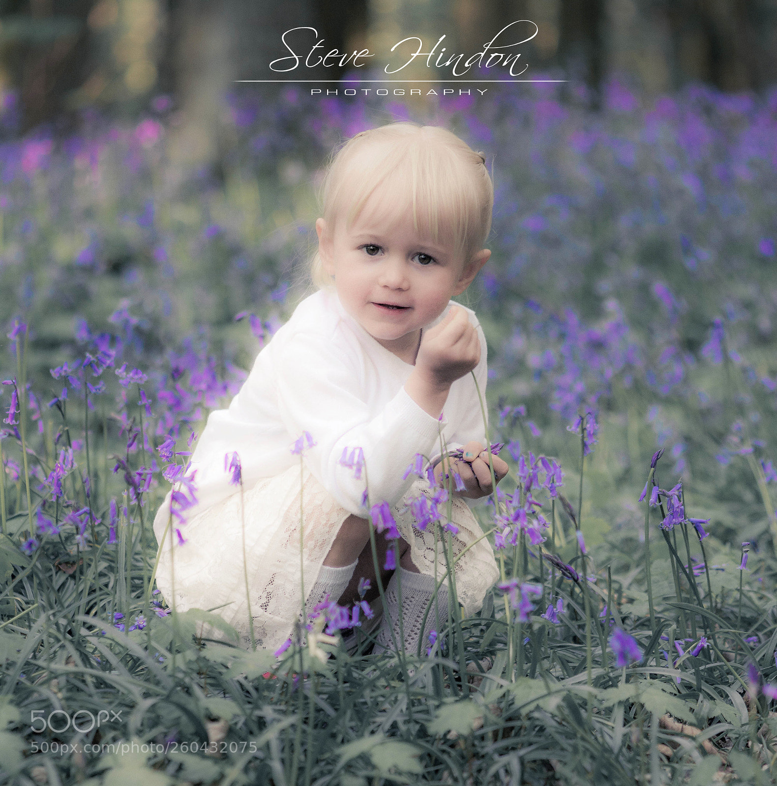 Nikon D7100 sample photo. Lilly photography
