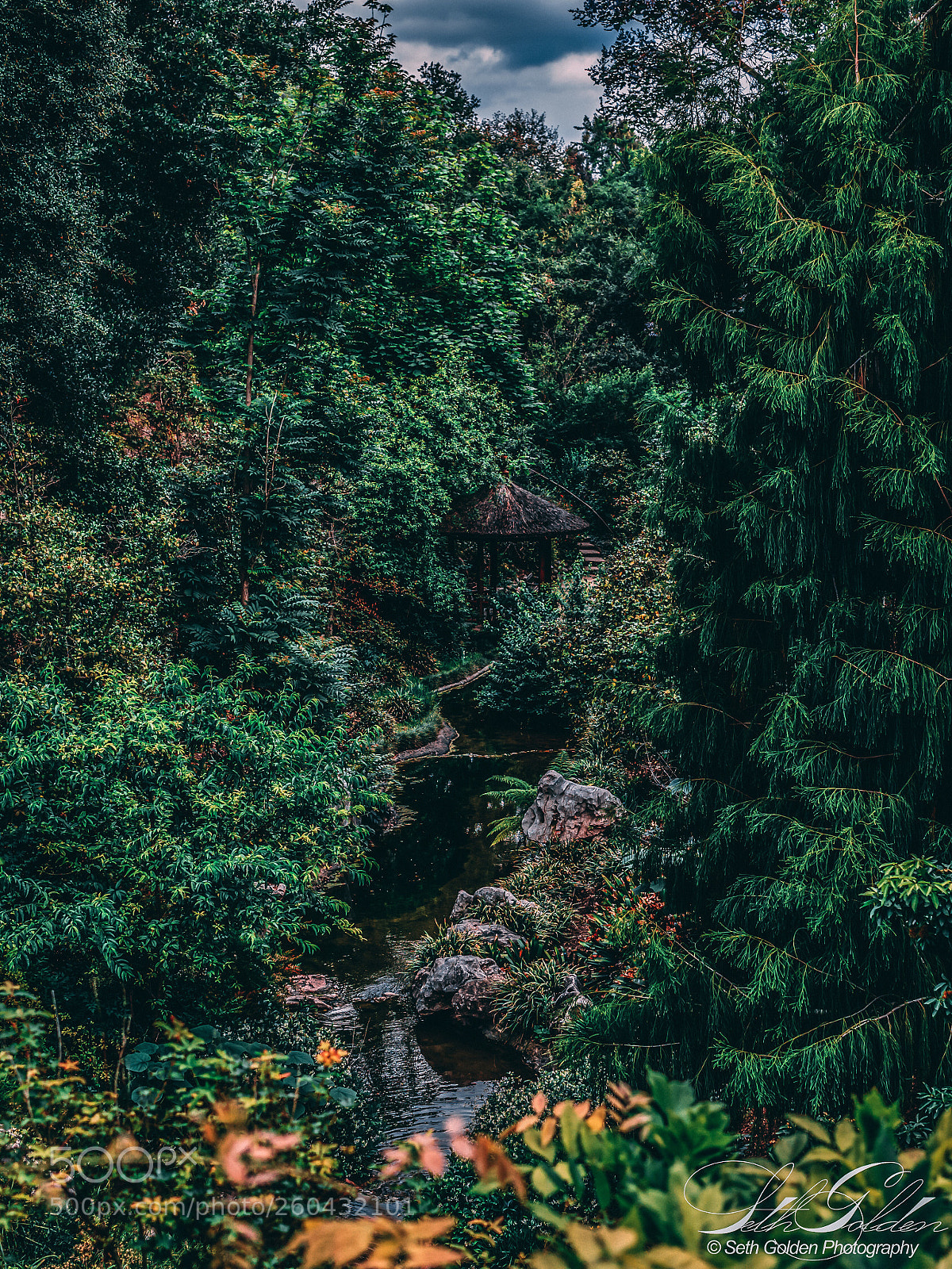 Sony a6000 sample photo. Chinese gardens and forest.  photography