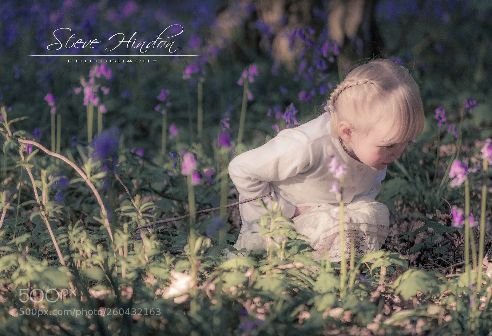 Nikon D7100 sample photo. Lilly photography