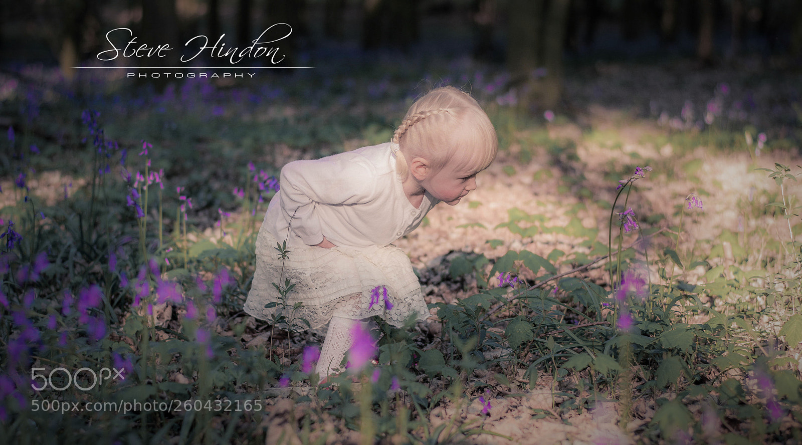 Nikon D7100 sample photo. Lilly photography