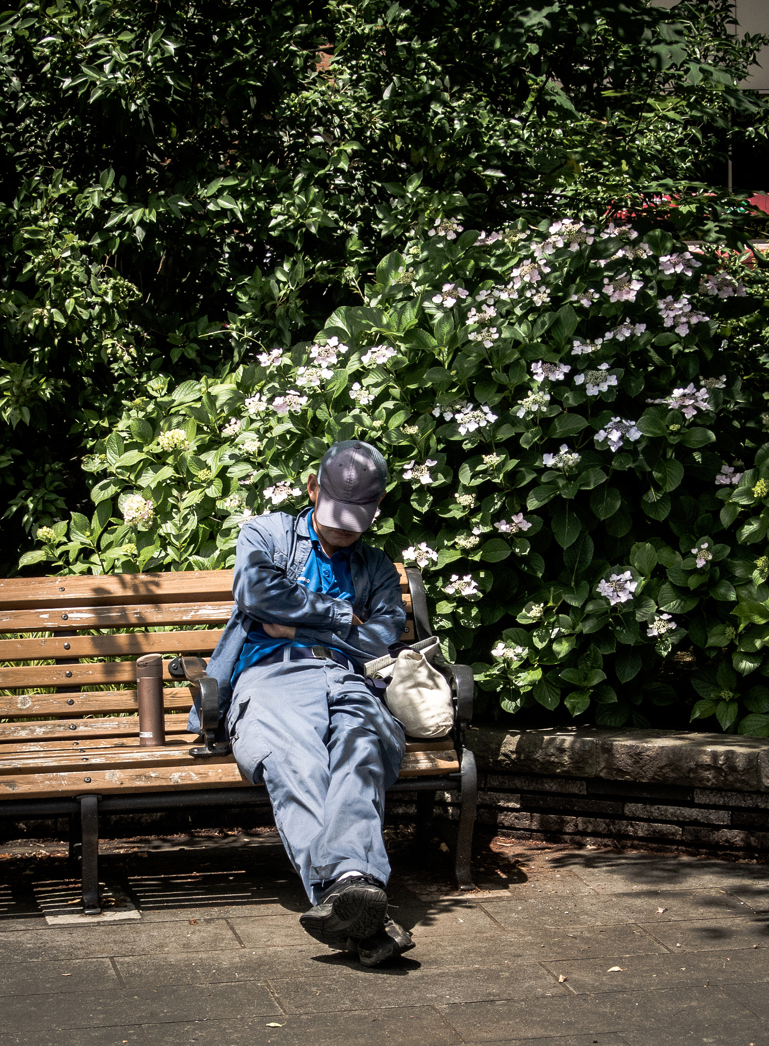 Nikon 1 V1 sample photo. A nap in the shade photography