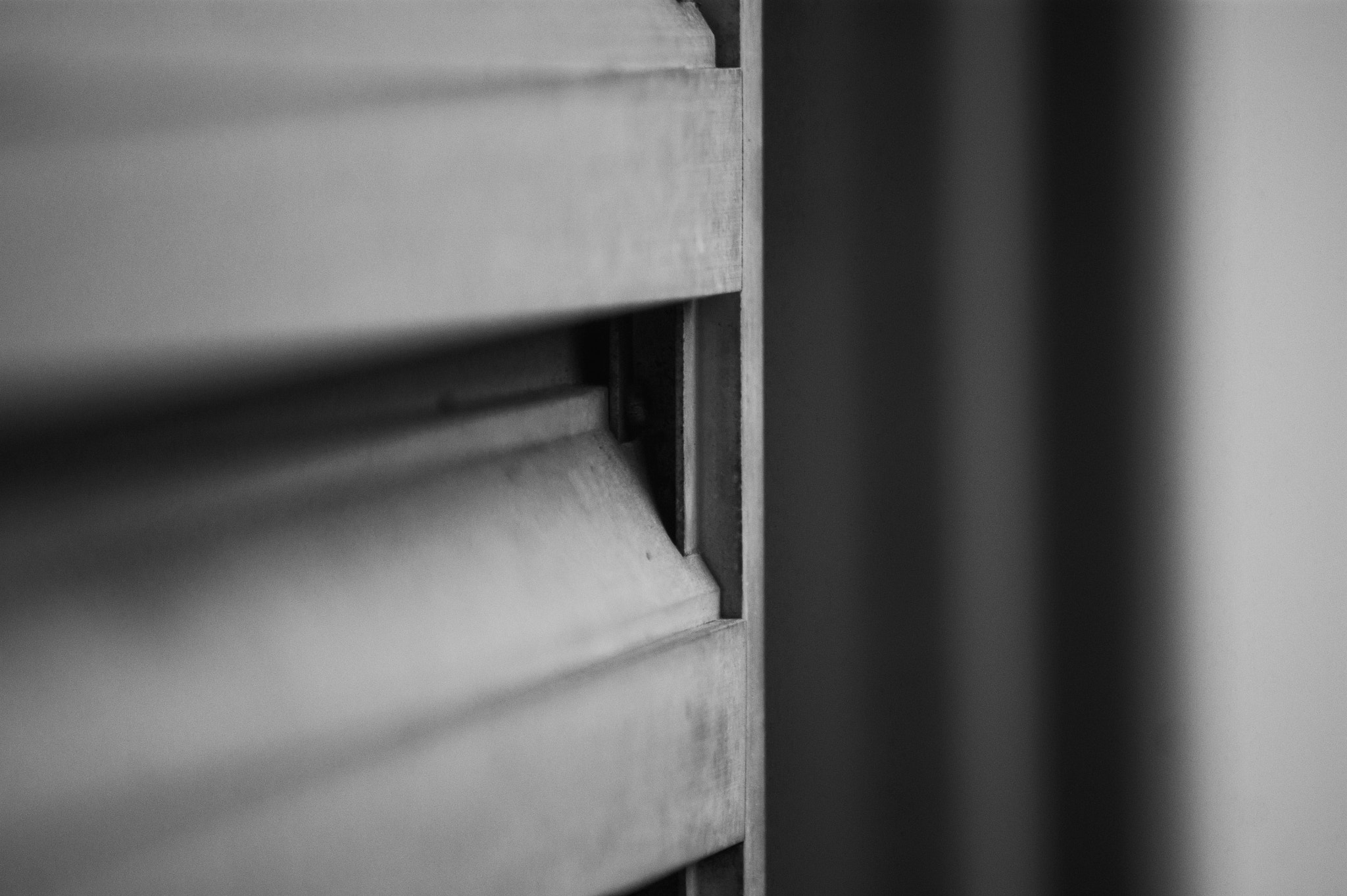 Sony Alpha DSLR-A290 sample photo. Window photography