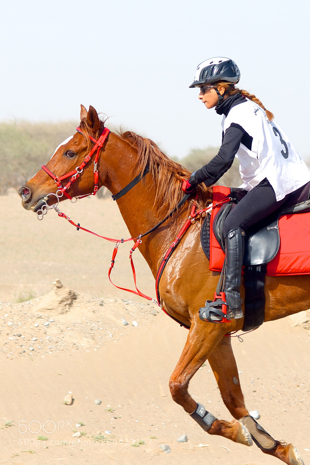 Pentax K-r sample photo. Rider in light photography