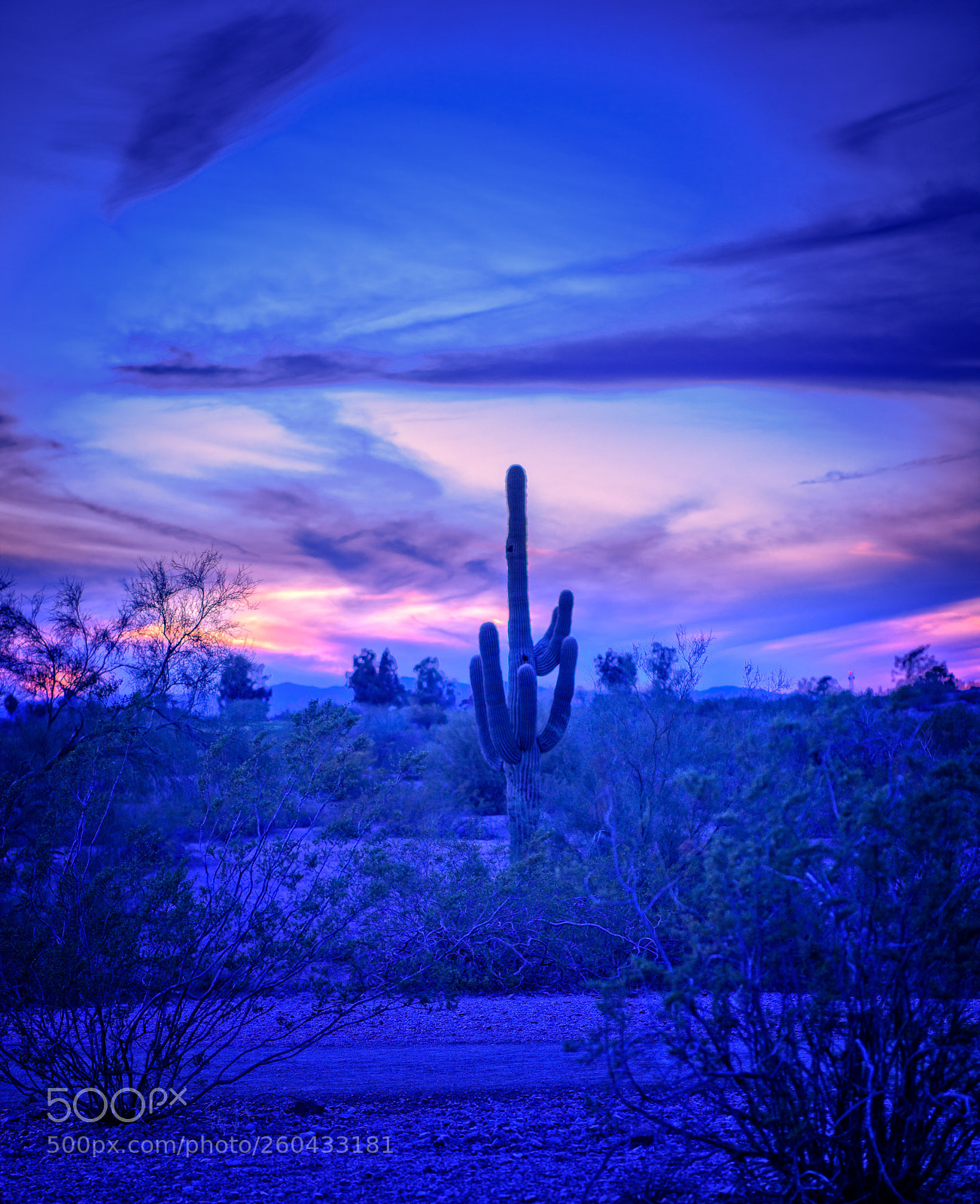 Nikon D810 sample photo. Arizona desert photography