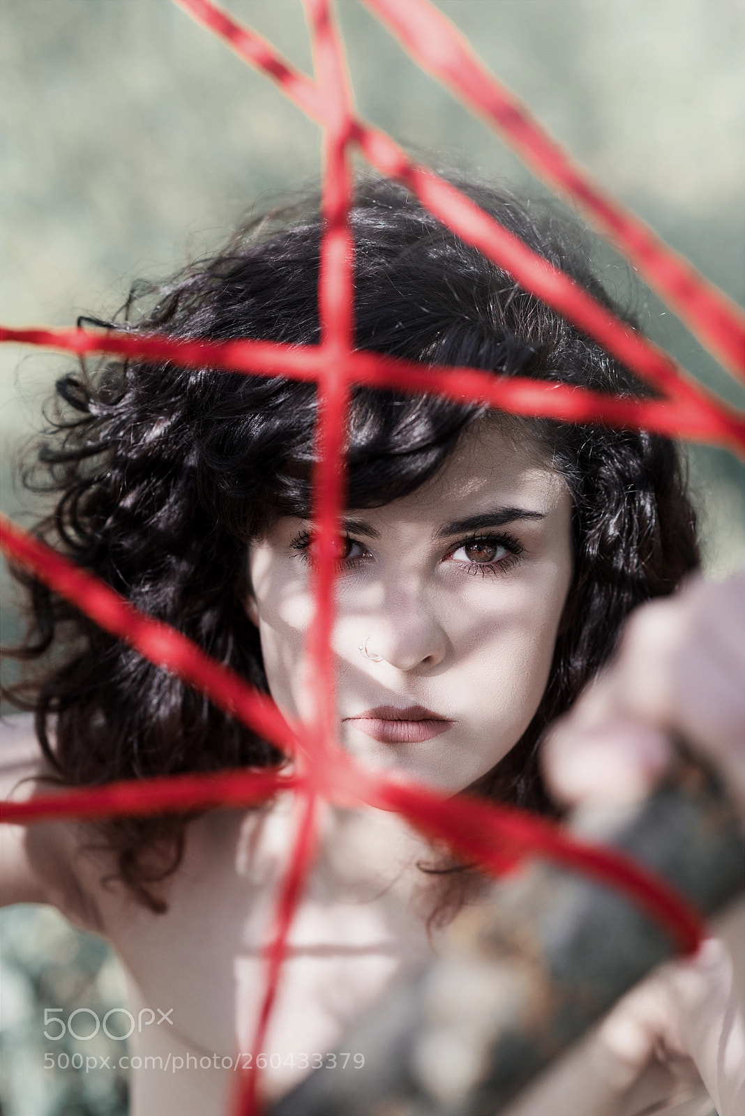 Nikon D810 sample photo. Perception photography