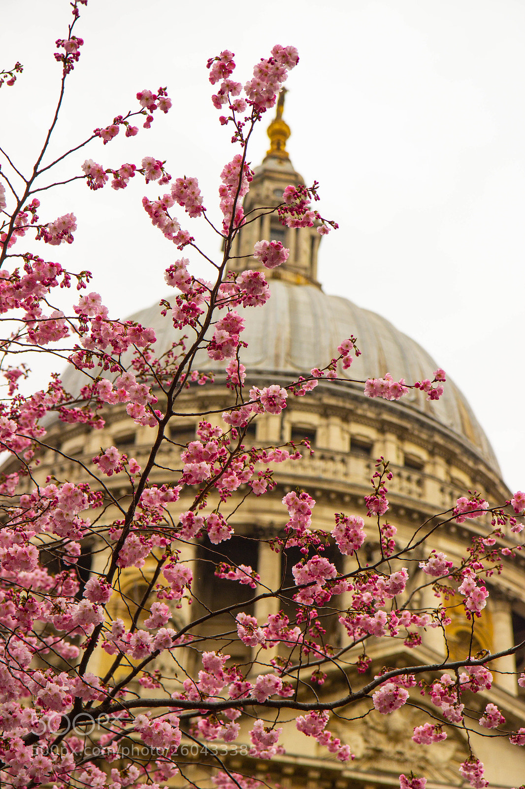 Canon EOS 600D (Rebel EOS T3i / EOS Kiss X5) sample photo. St pauls photography