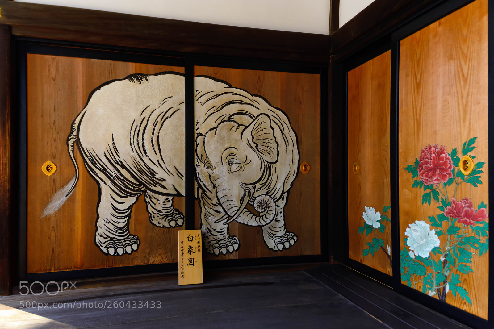 Nikon D5200 sample photo. 相国寺 photography