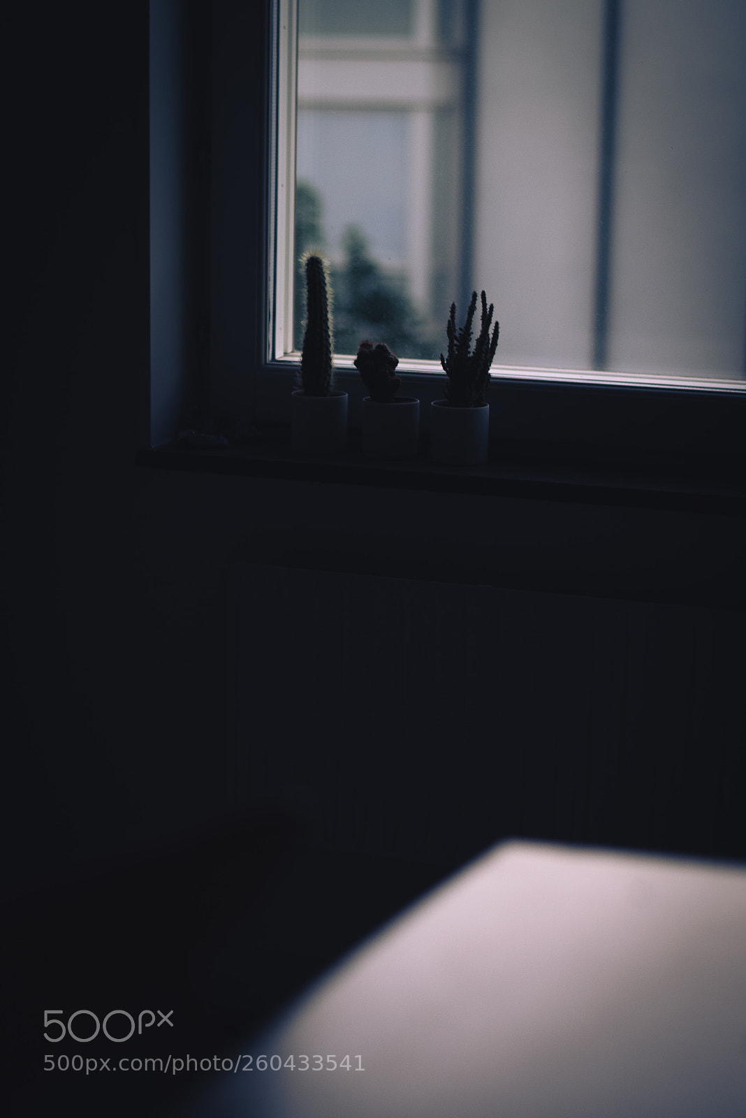 Nikon D750 sample photo. We grow photography