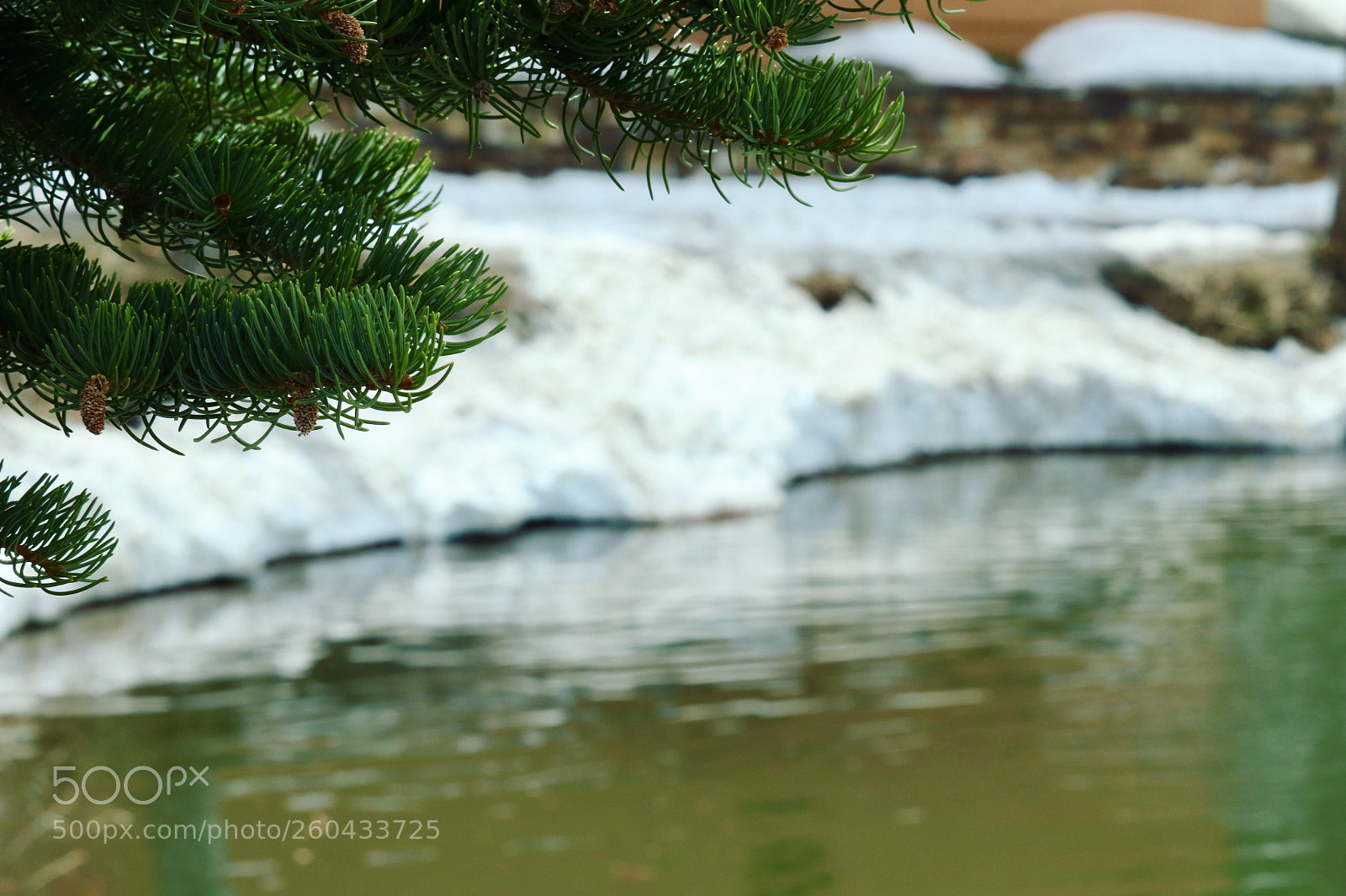 Canon EOS 77D (EOS 9000D / EOS 770D) sample photo. Untitled photography