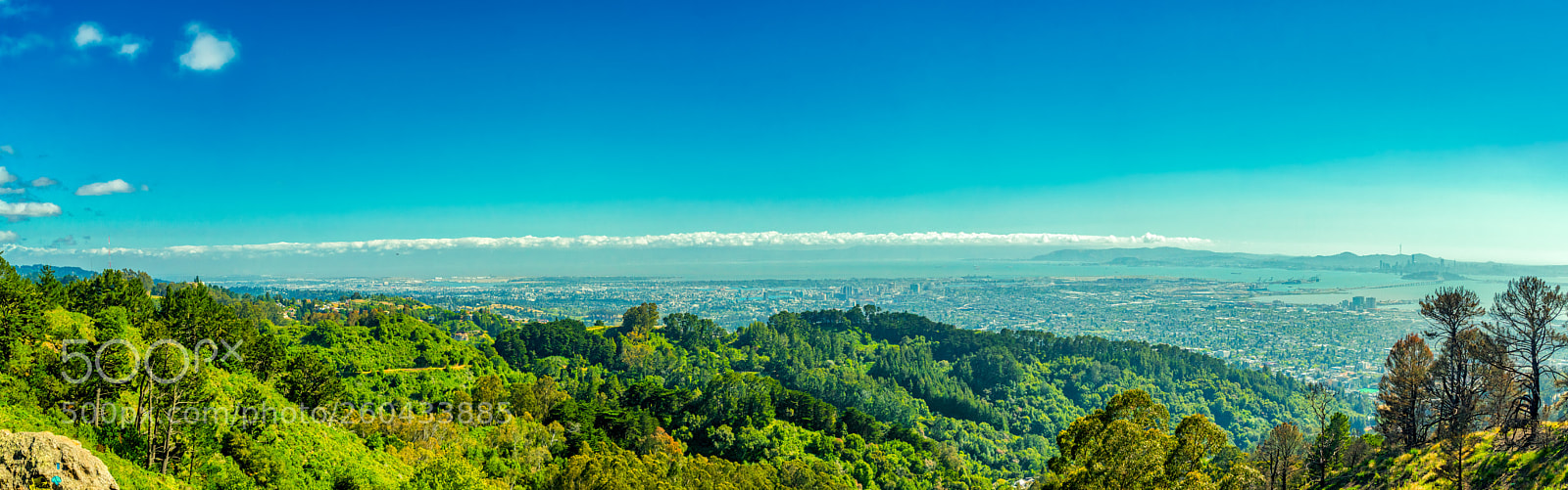 Pentax K-3 II sample photo. Grizzly peak photography