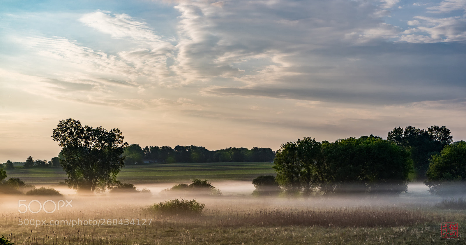 Sony a7 III sample photo. Can't resist the mist photography