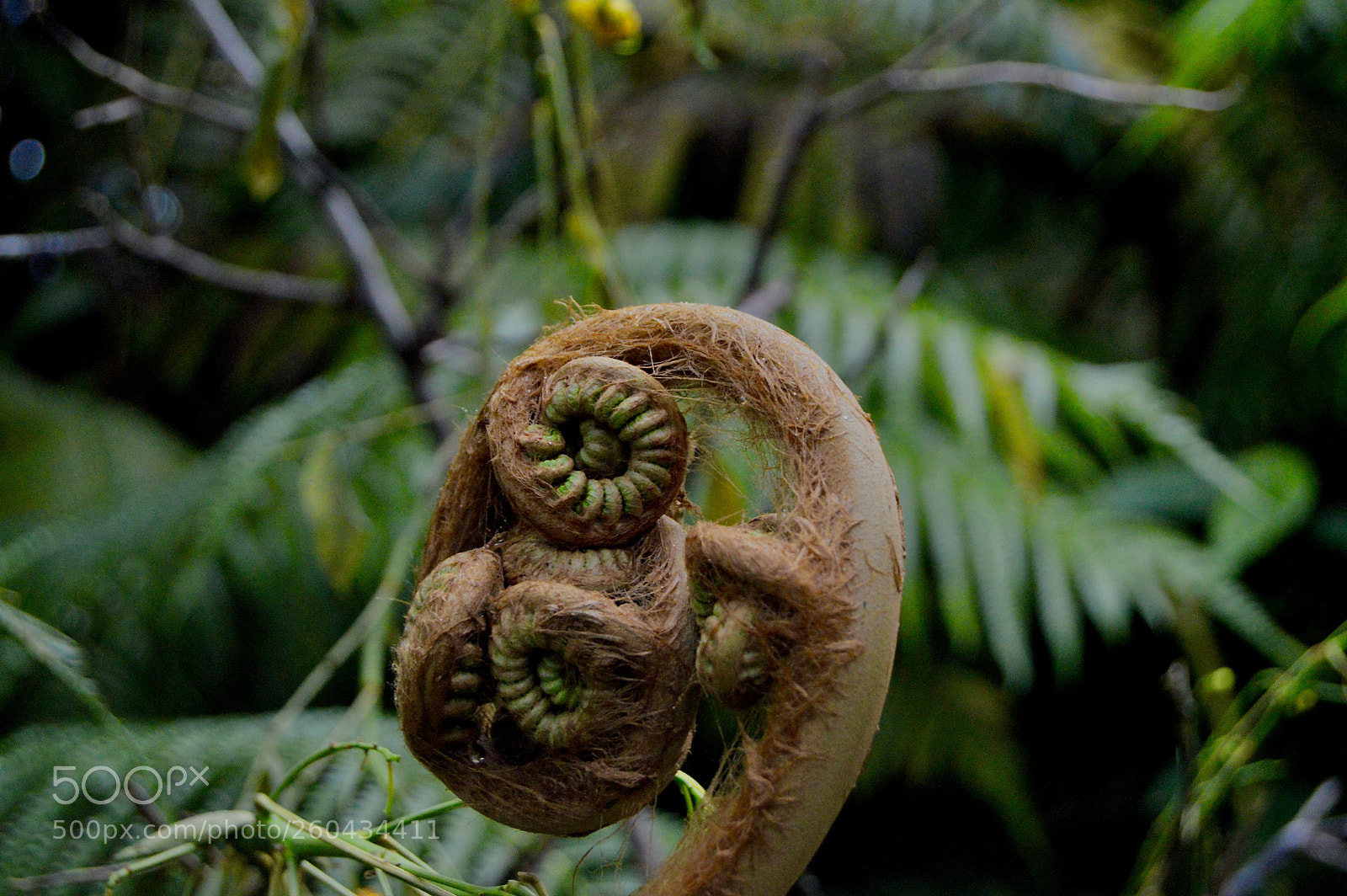 Nikon D3200 sample photo. Fullsizeoutput photography
