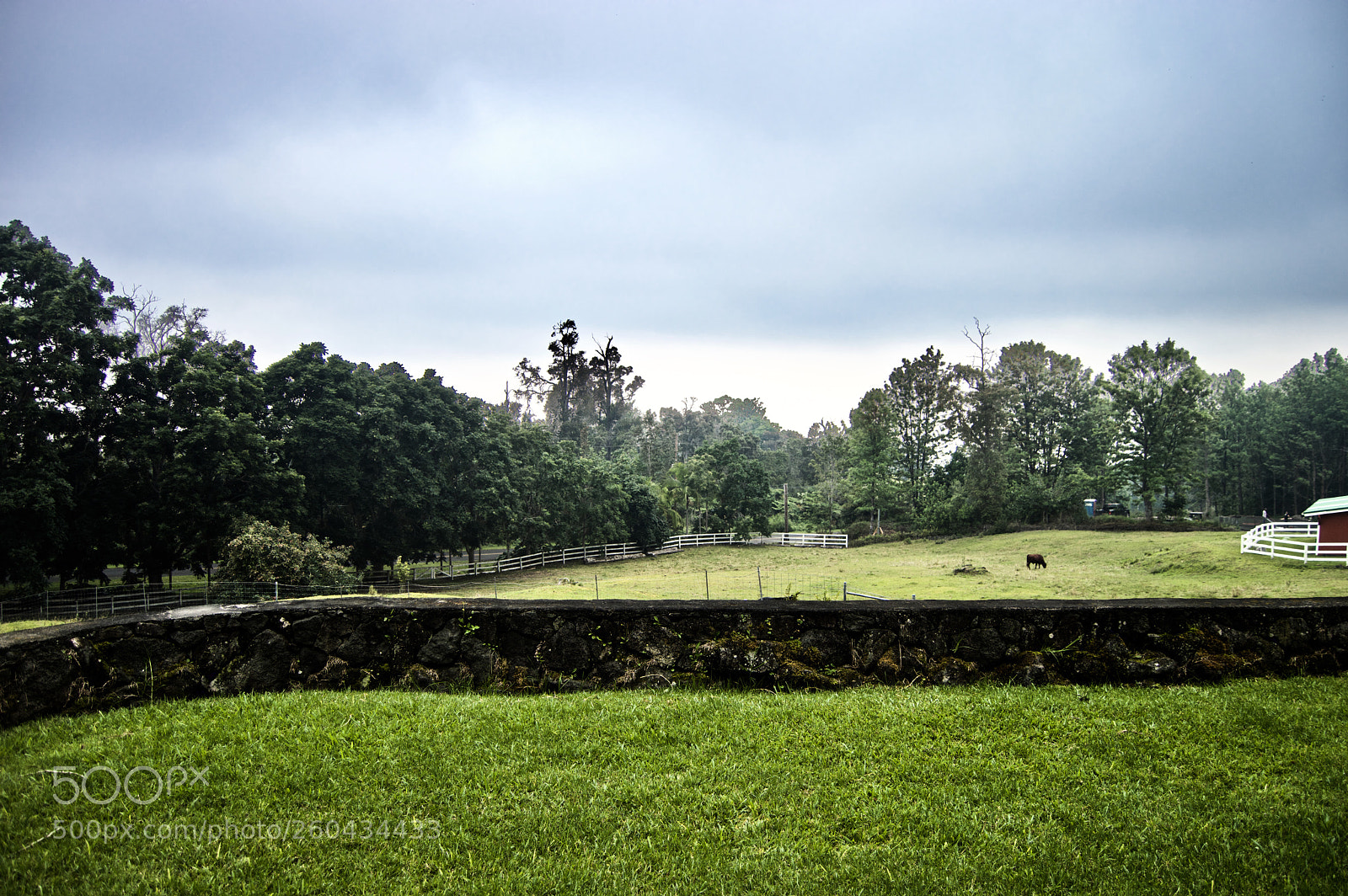 Nikon D3200 sample photo. Fullsizeoutput photography