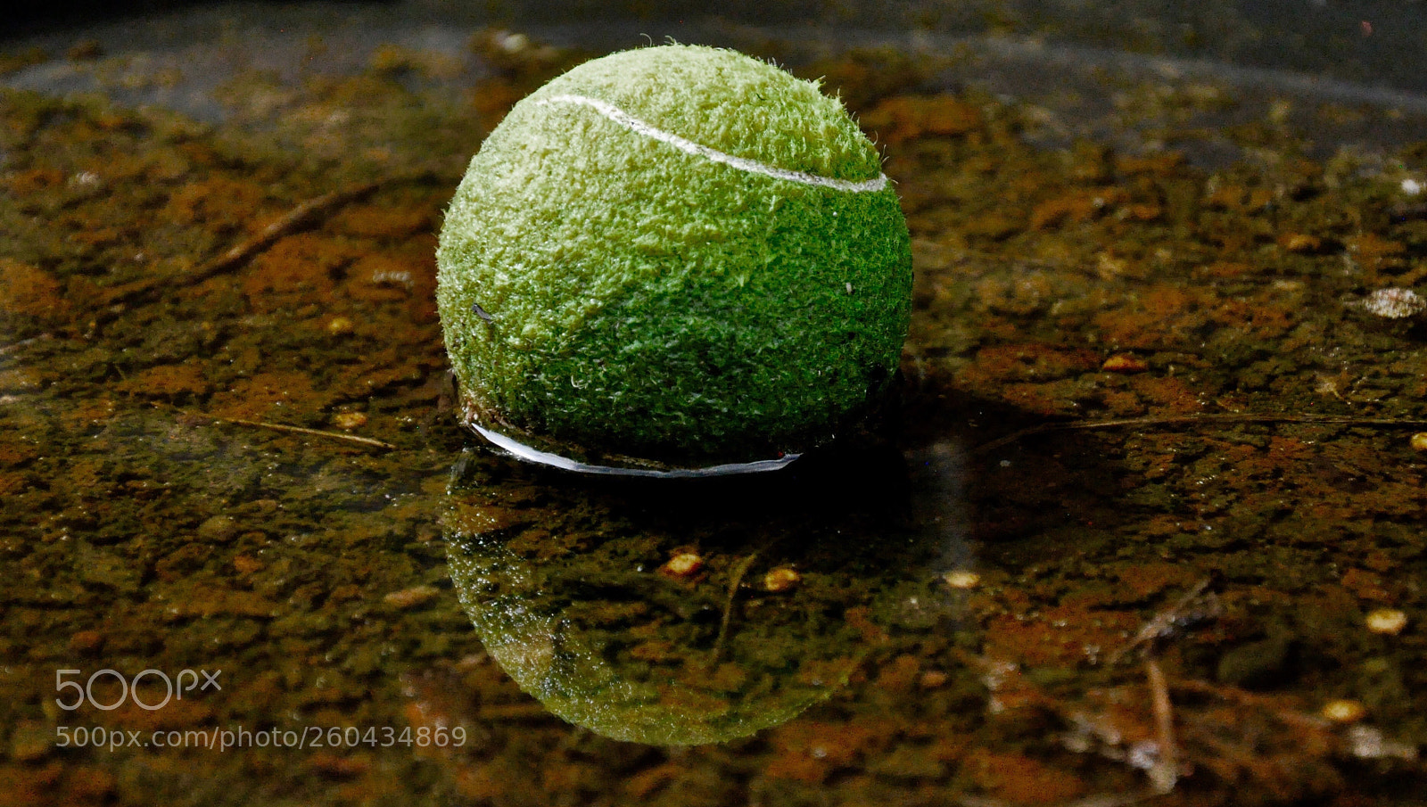Nikon D90 sample photo. Old weathered tennis ball photography