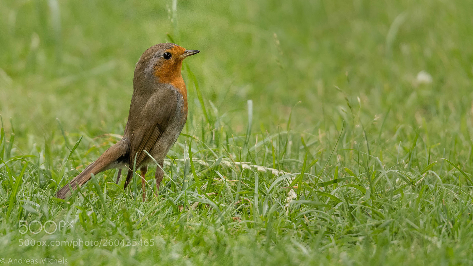 Nikon D500 sample photo. . photography