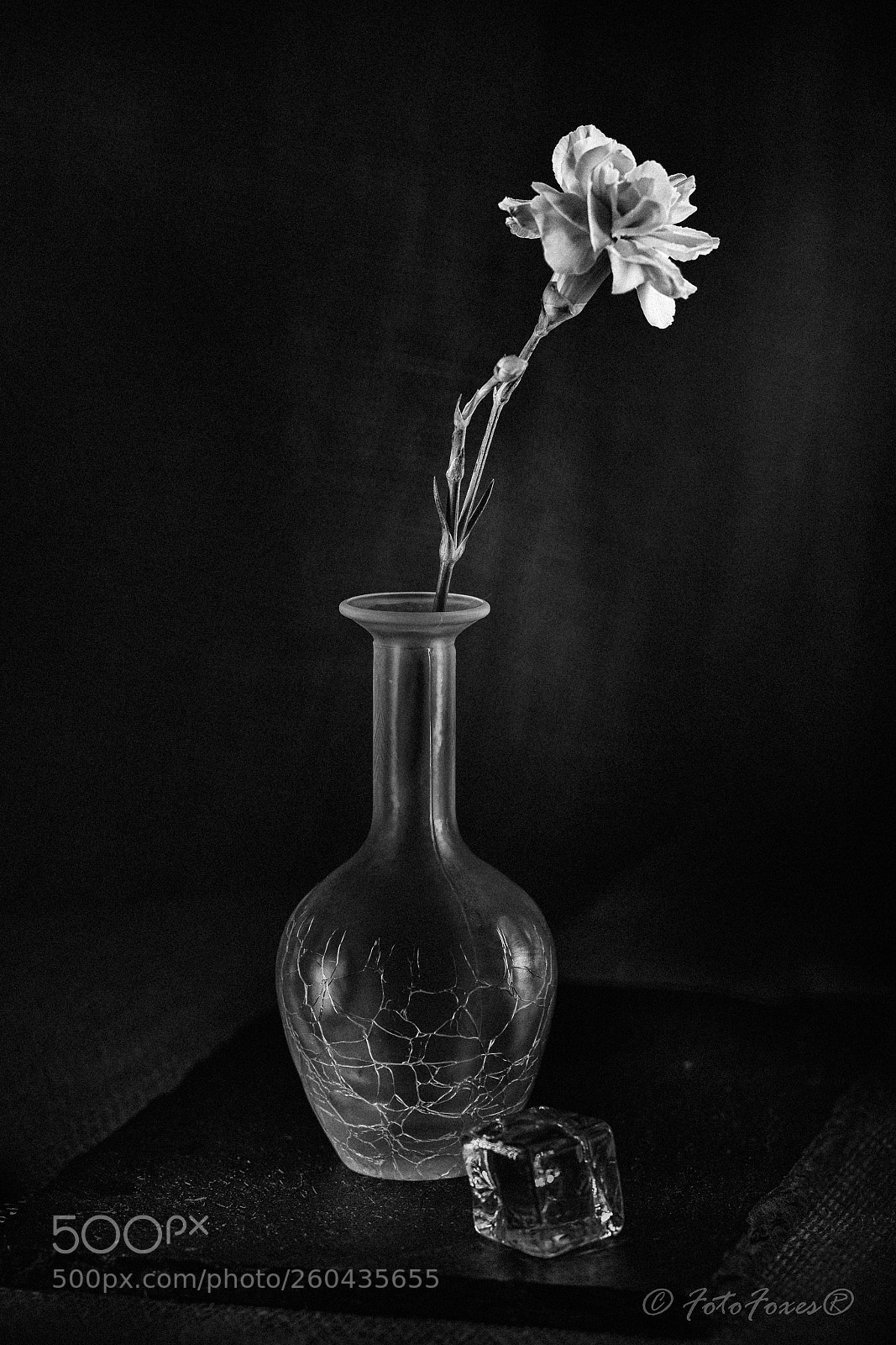 Canon EOS 5D Mark II sample photo. Mg photography