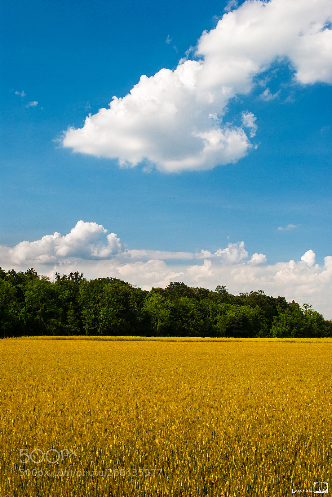 Nikon D3000 sample photo. Summer landscape photography