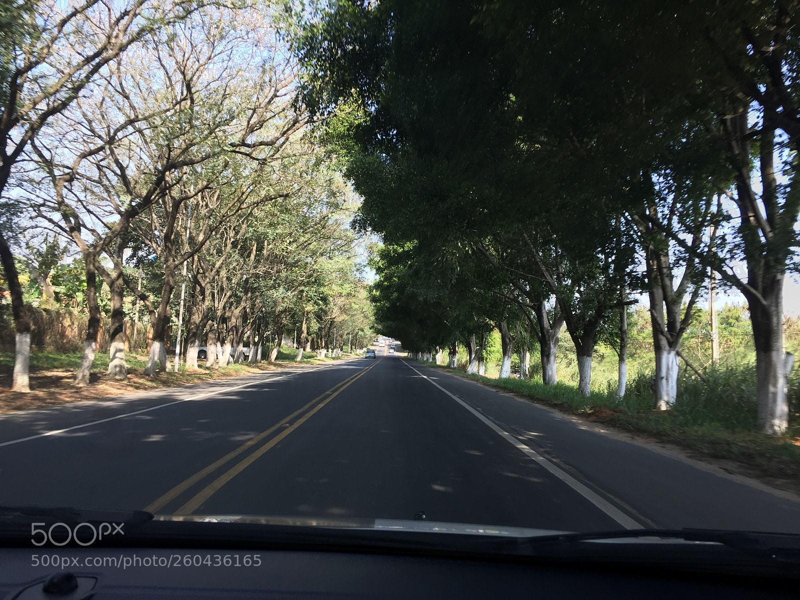 Apple iPhone 6 sample photo. Na estrada photography