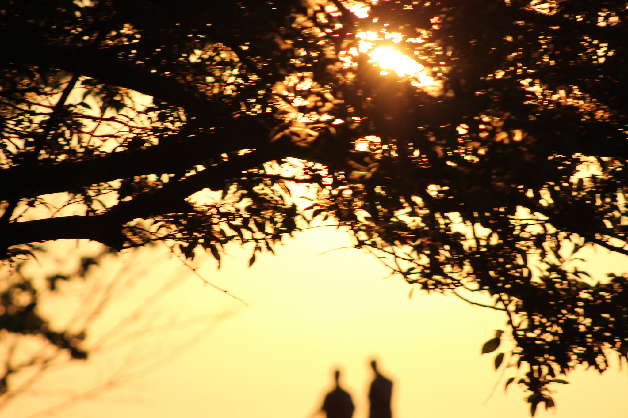Canon EF 75-300mm f/4-5.6 sample photo