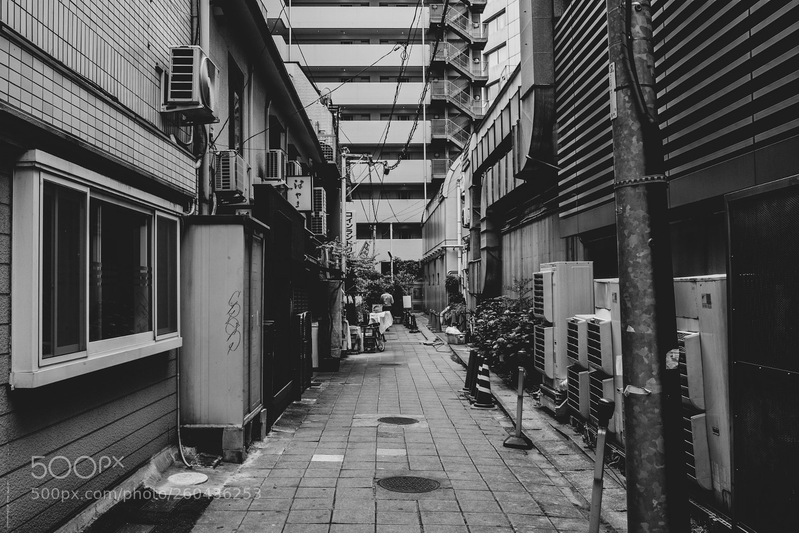 Sony a7 III sample photo. Edit photography