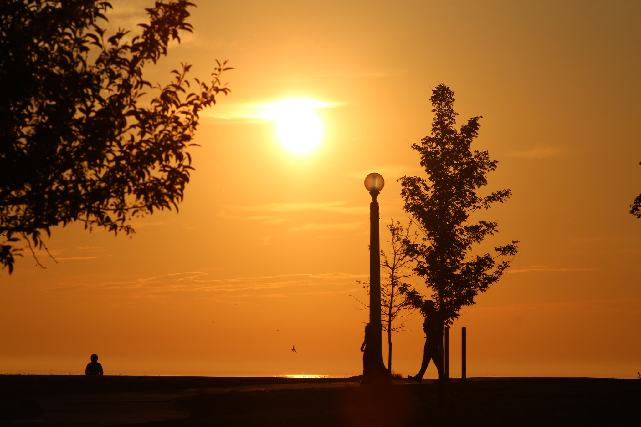 Canon EF 75-300mm f/4-5.6 sample photo