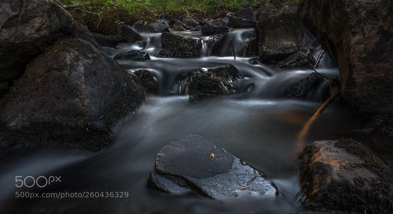 Nikon D800 sample photo. Ruisseau photography