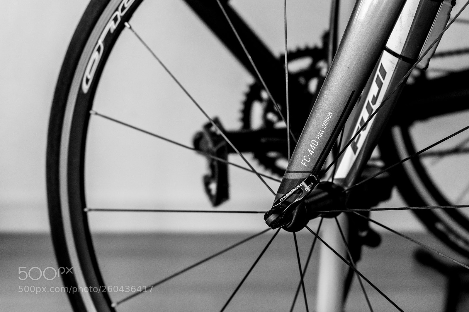 Sony a7 III sample photo. Edit photography