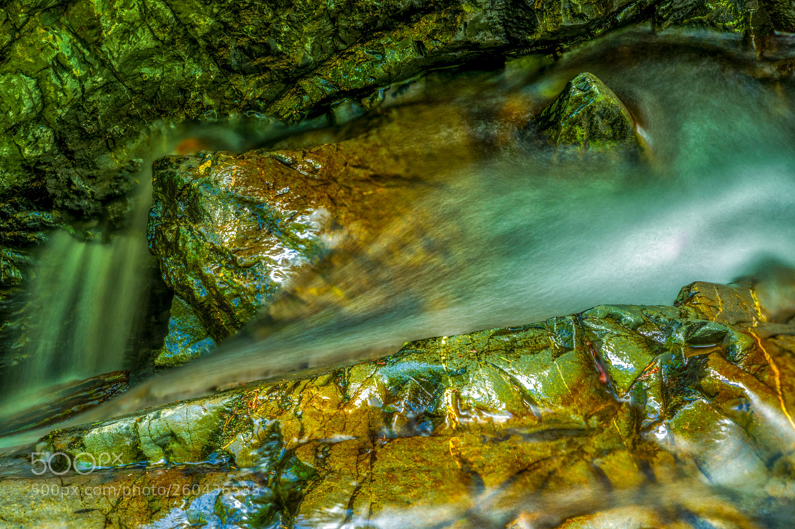 Pentax K-3 II sample photo. Muir woods photography