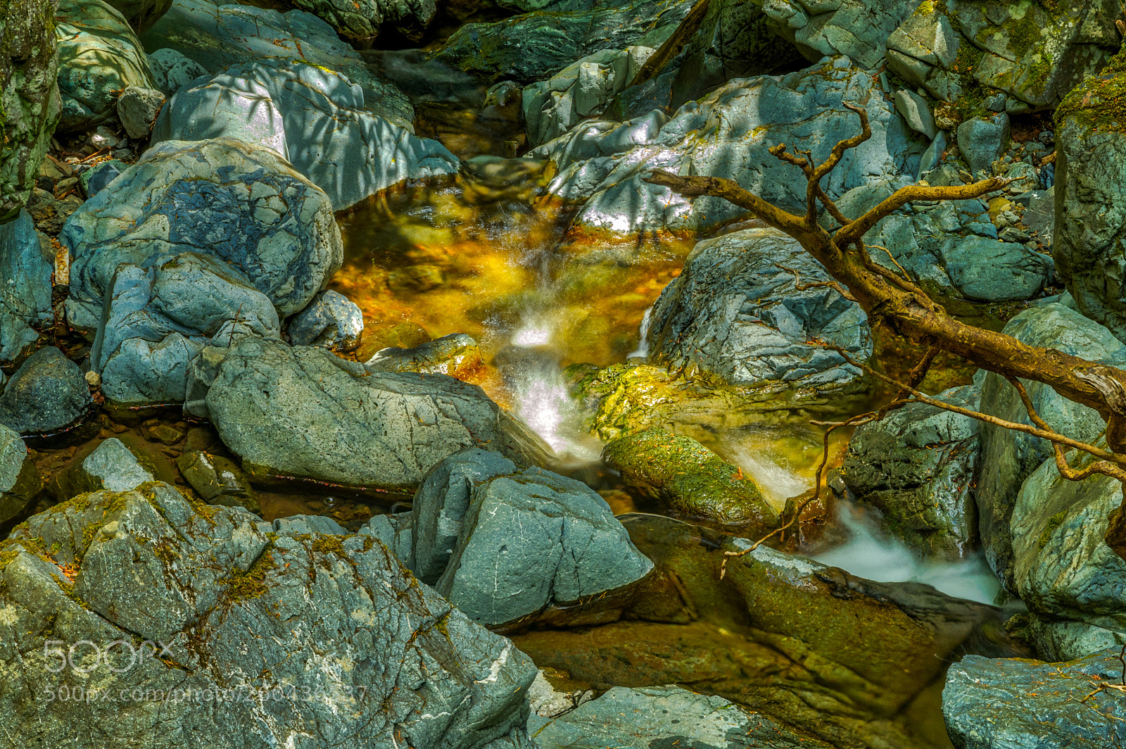 Pentax K-3 II sample photo. Muir woods photography