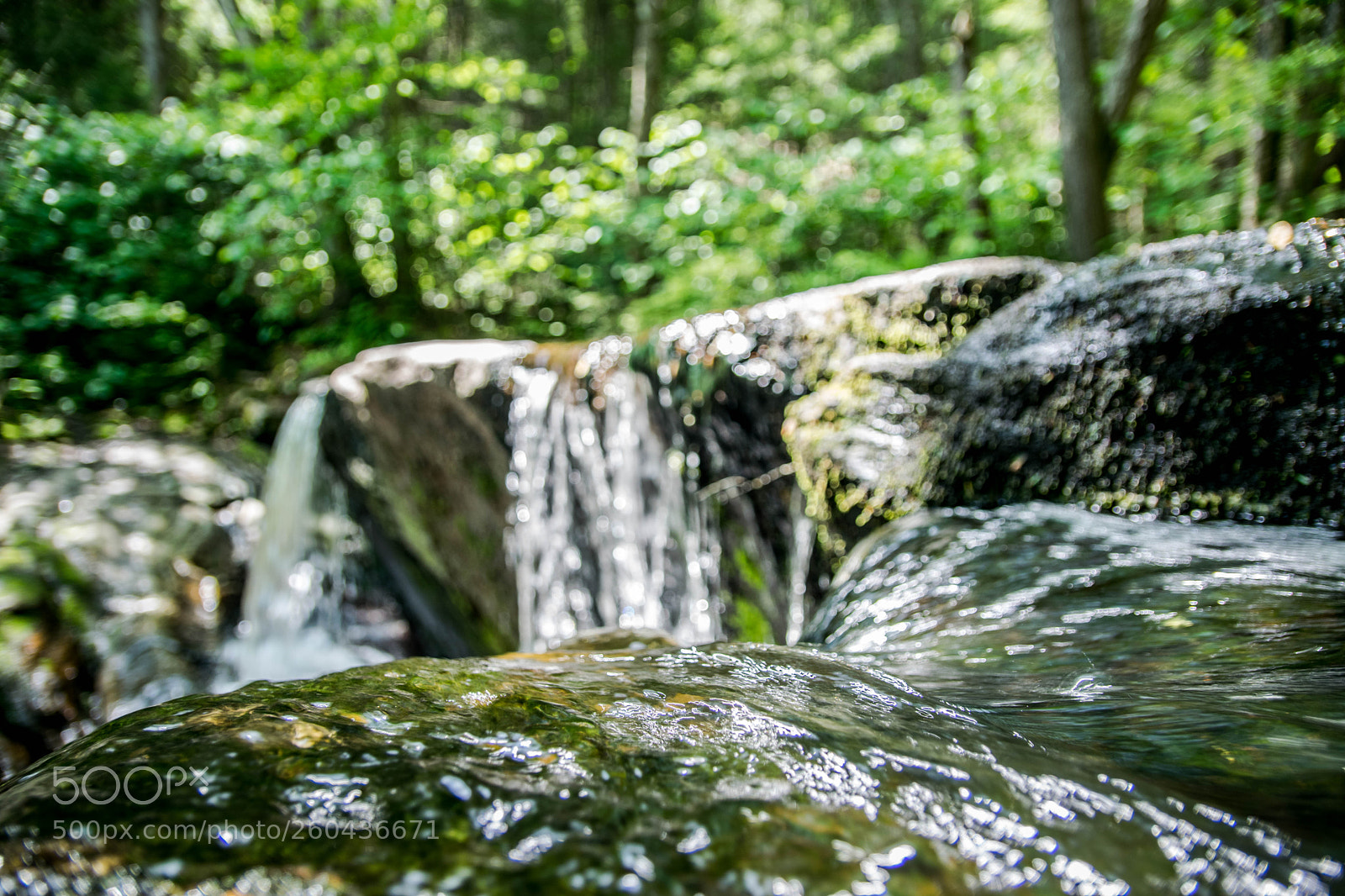 Nikon D5300 sample photo. Untitled photography