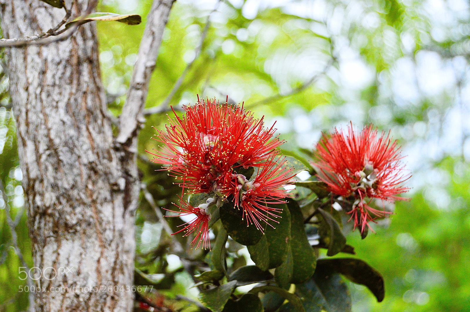 Nikon D3200 sample photo. Fullsizeoutput e photography