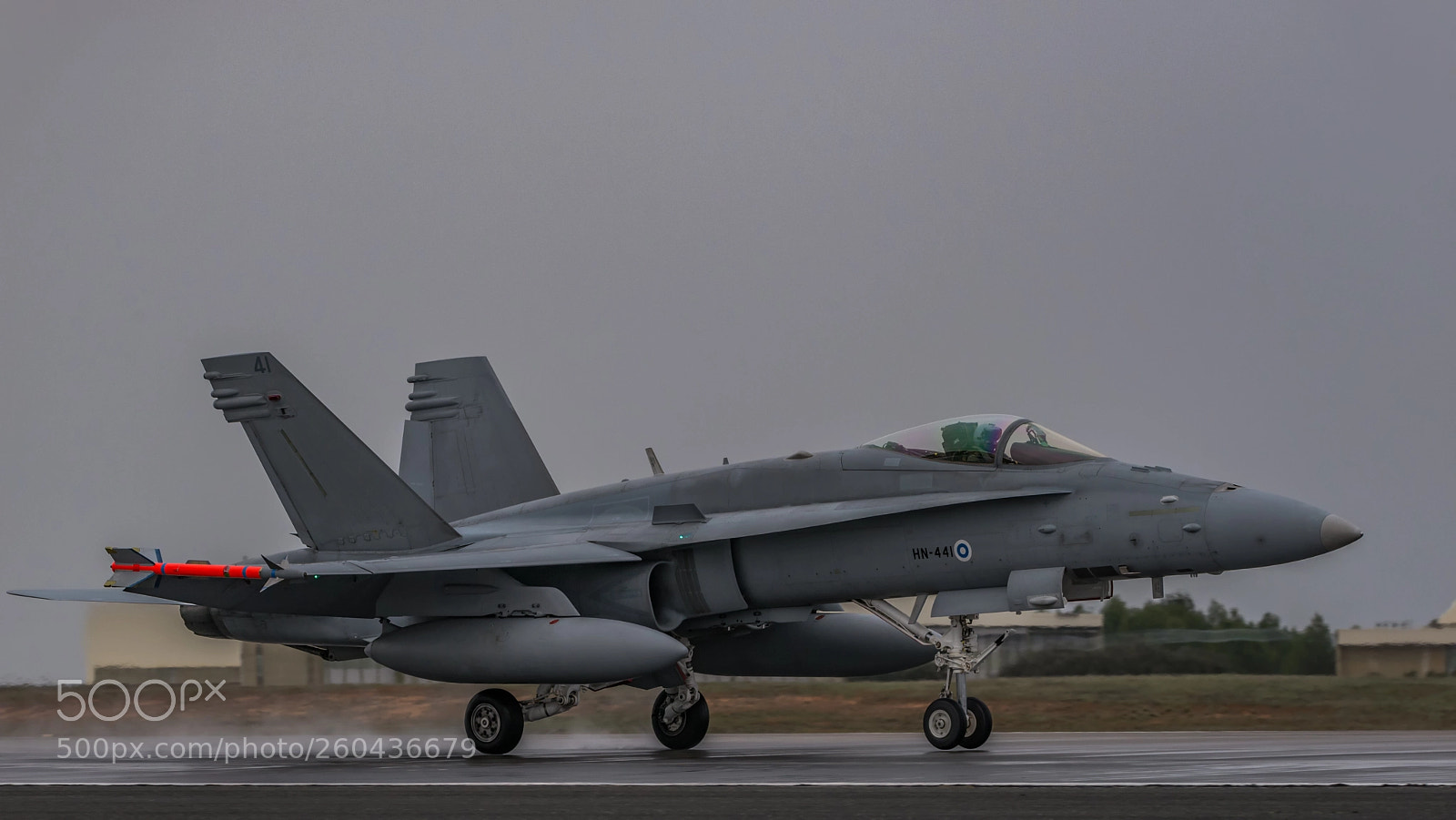 Nikon D610 sample photo. Hornet hn-441 photography