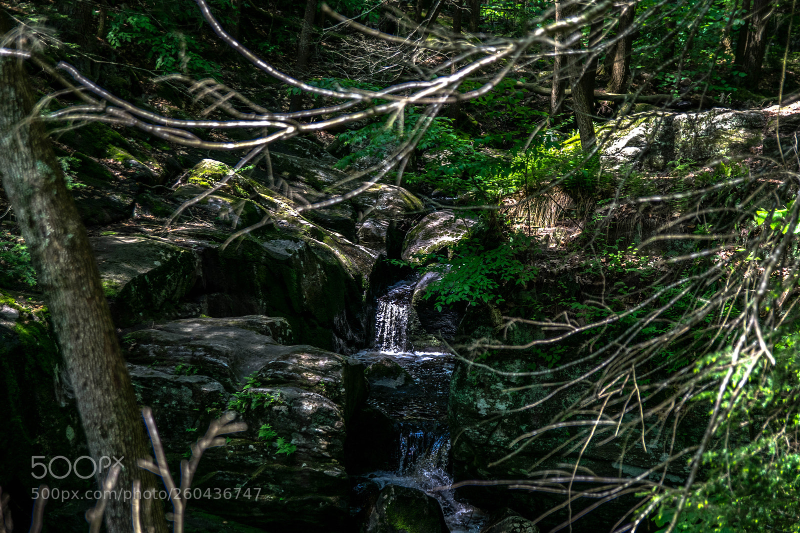 Nikon D5300 sample photo. Untitled photography