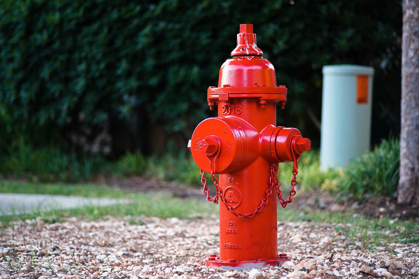 Sony a7 II sample photo. Red photography