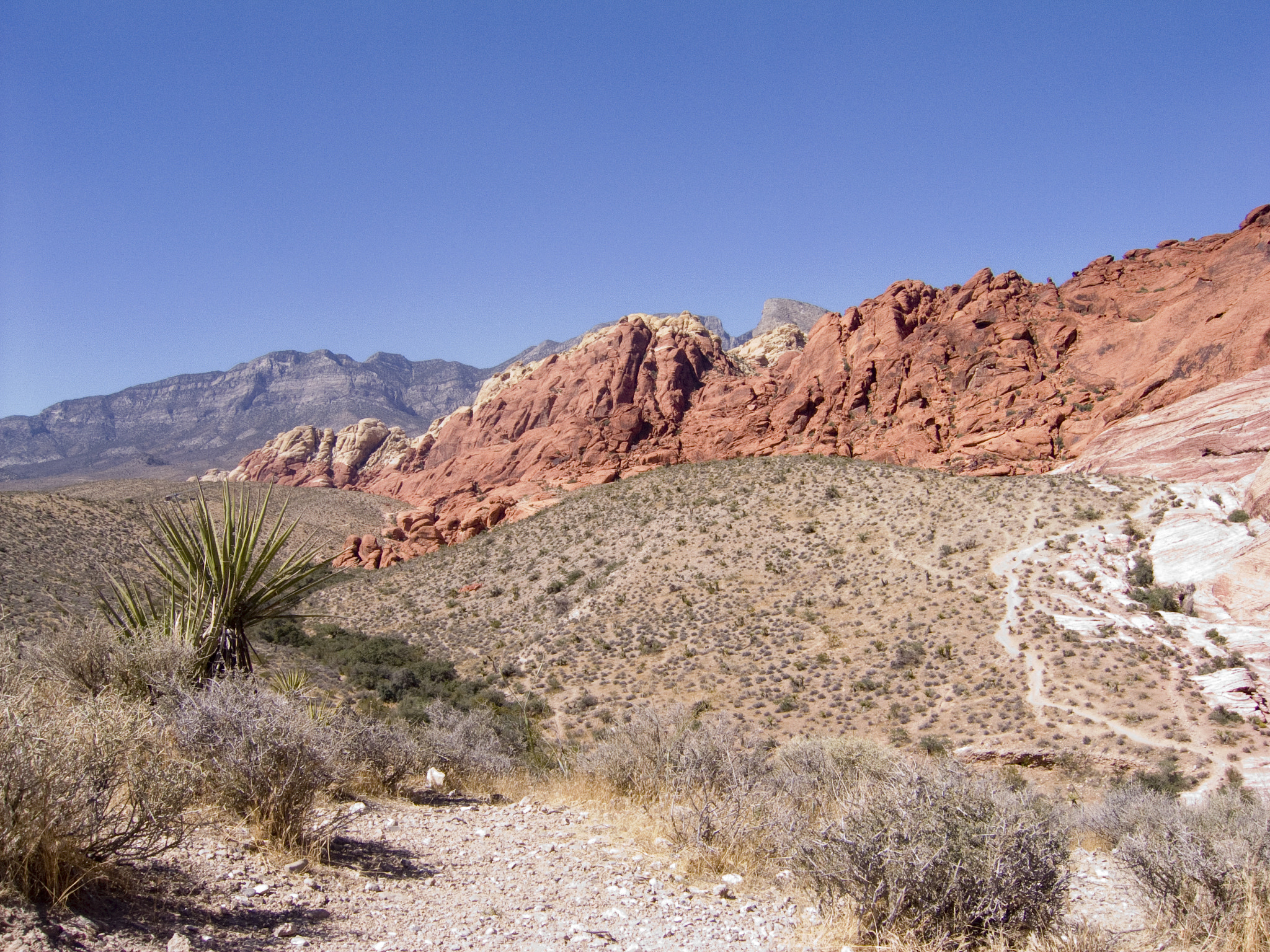 Canon POWERSHOT S50 sample photo. Red rock canyon 1.jpg photography