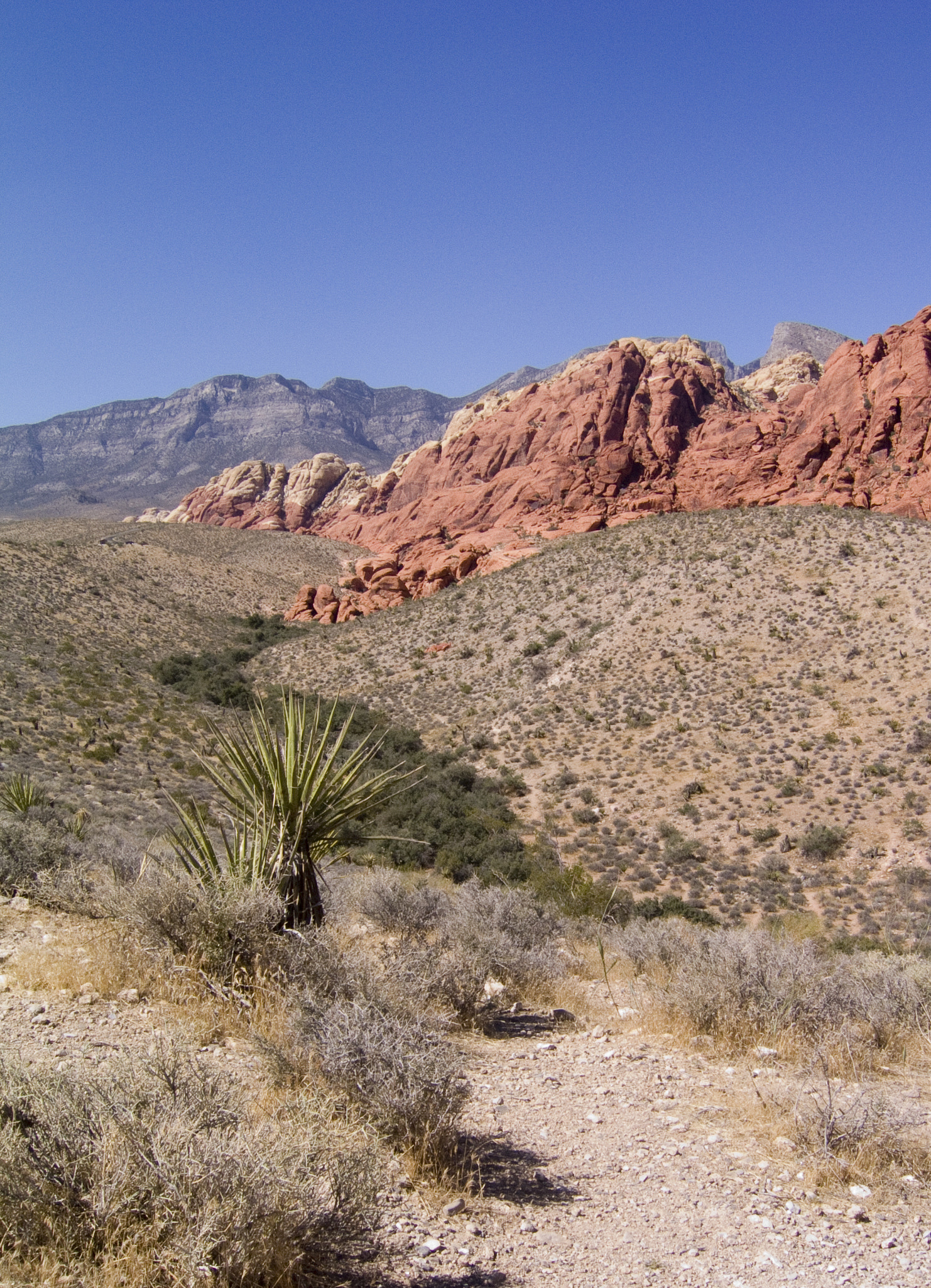 Canon POWERSHOT S50 sample photo. Red rock canyon 2.jpg photography