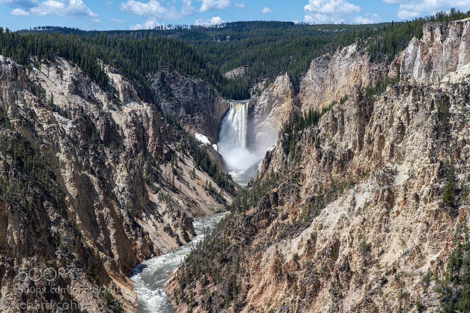 Nikon D850 sample photo. Grand canyon of yellowstone photography