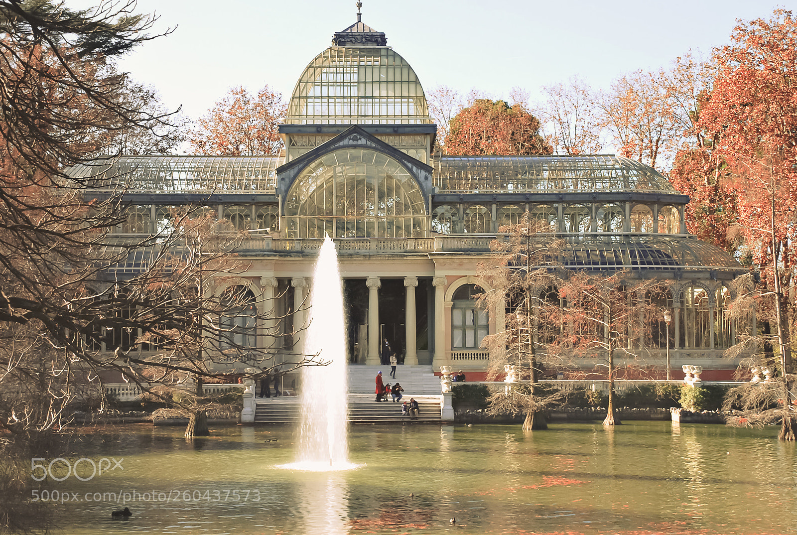 Nikon D80 sample photo. Glass house in retiro photography