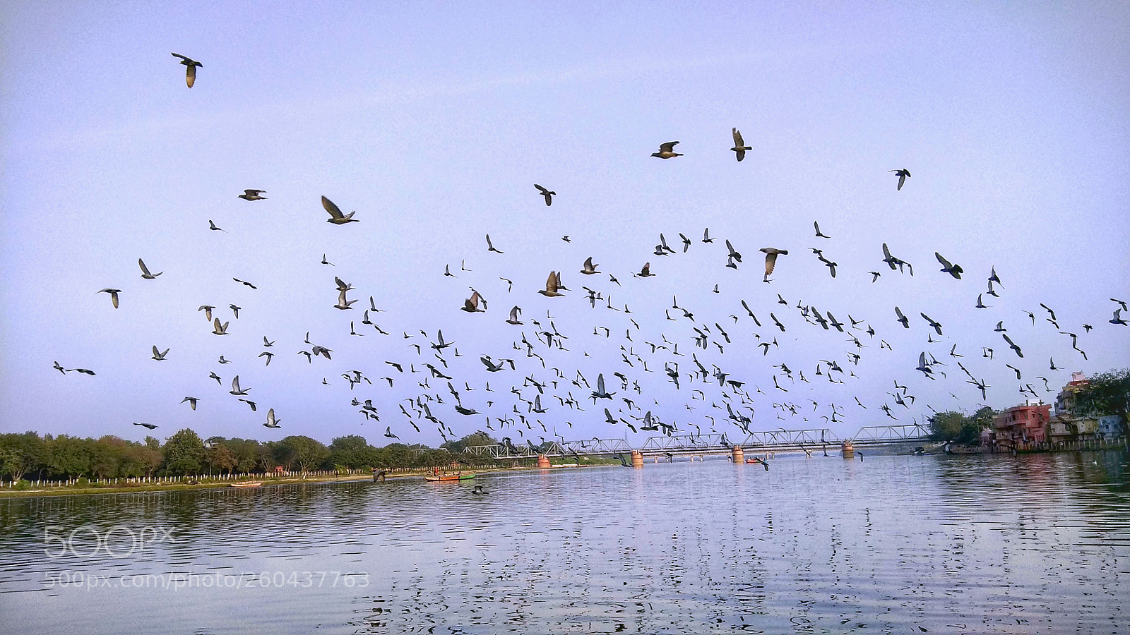 Xiaomi Redmi Note 4 sample photo. Home photography