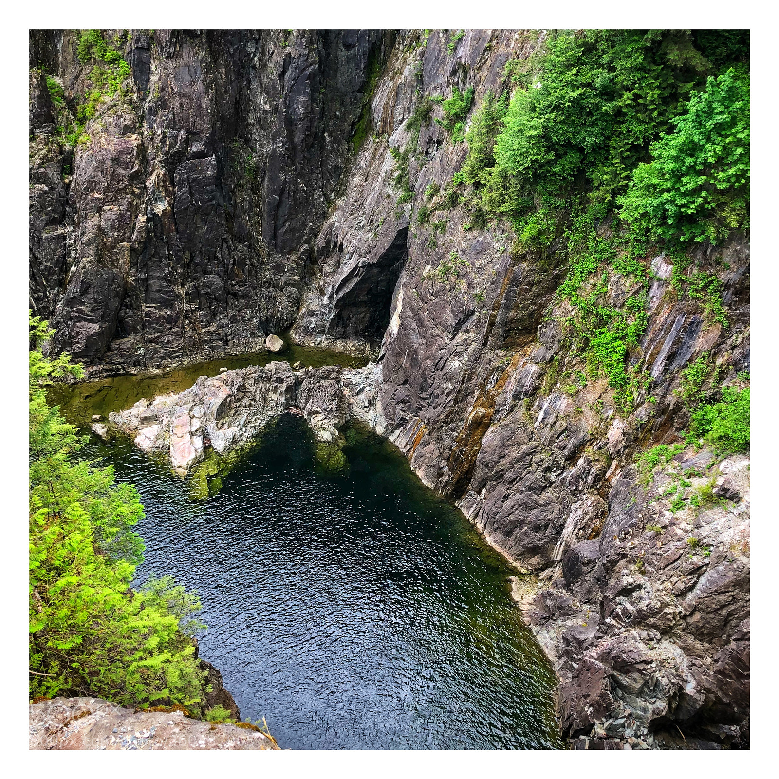 Apple iPhone X sample photo. Untitled photography