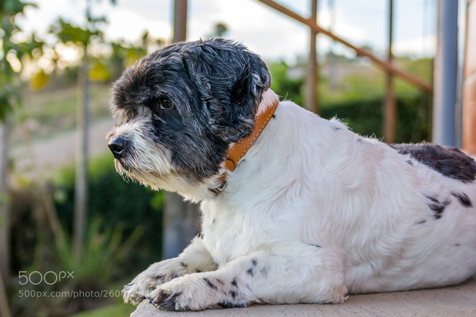 Canon EOS 60D sample photo. Thor photography