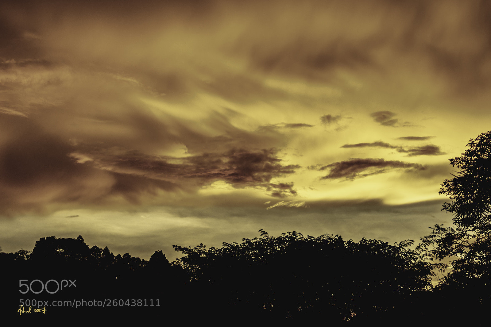 Nikon D7200 sample photo. Golden clouds  photography