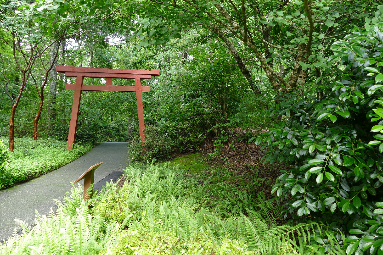 Panasonic Lumix DMC-FZ1000 sample photo. Japanese garden entrance photography