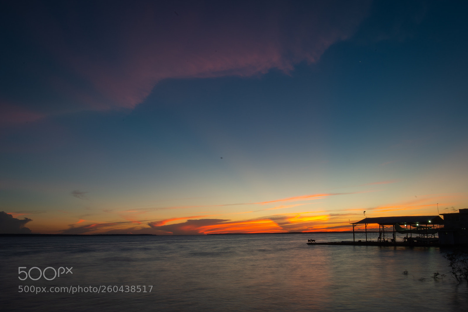 Nikon D800E sample photo. Rio negro / amazonas br photography