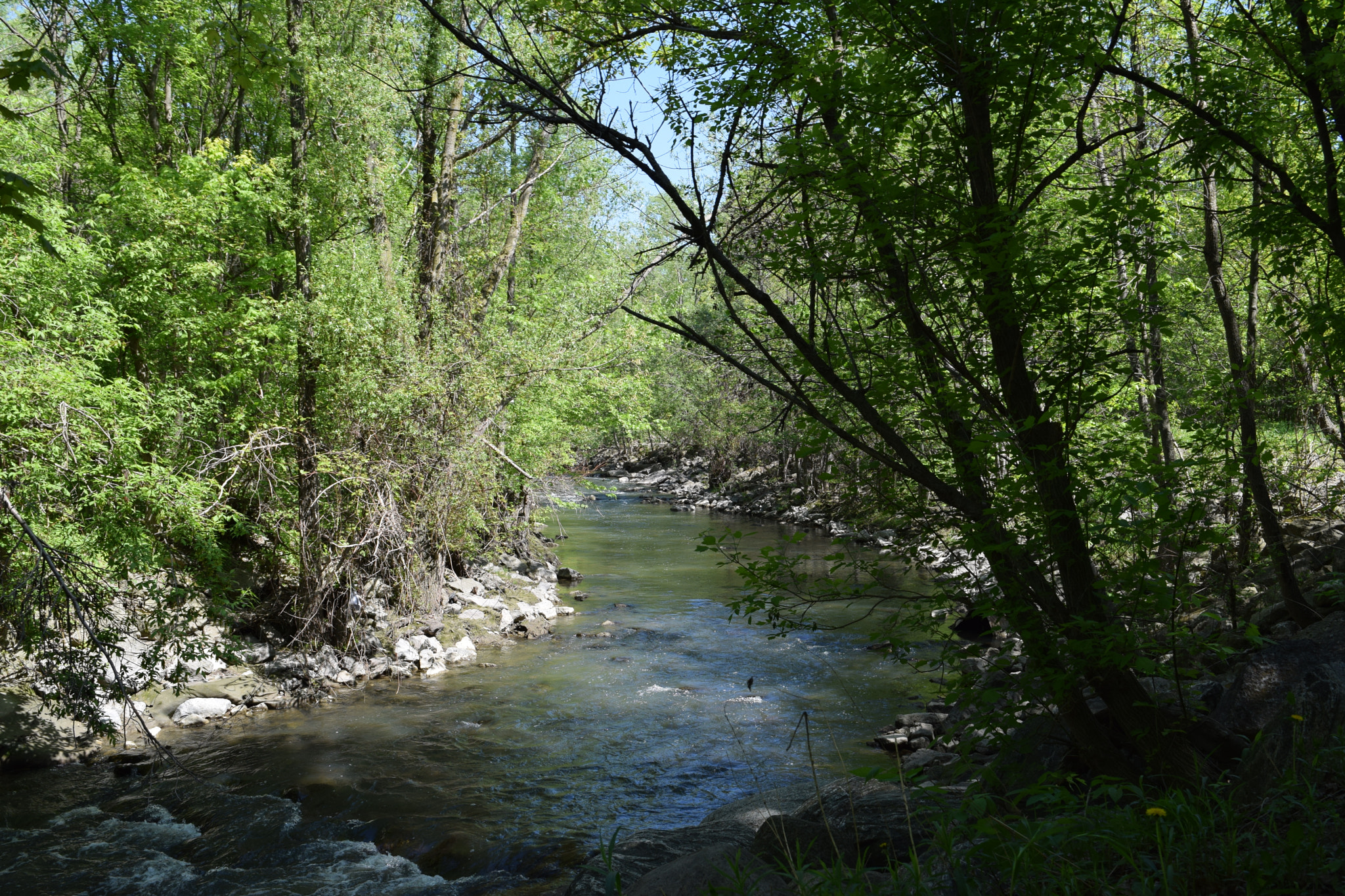 Nikon D5300 sample photo. Stream horizontal photography