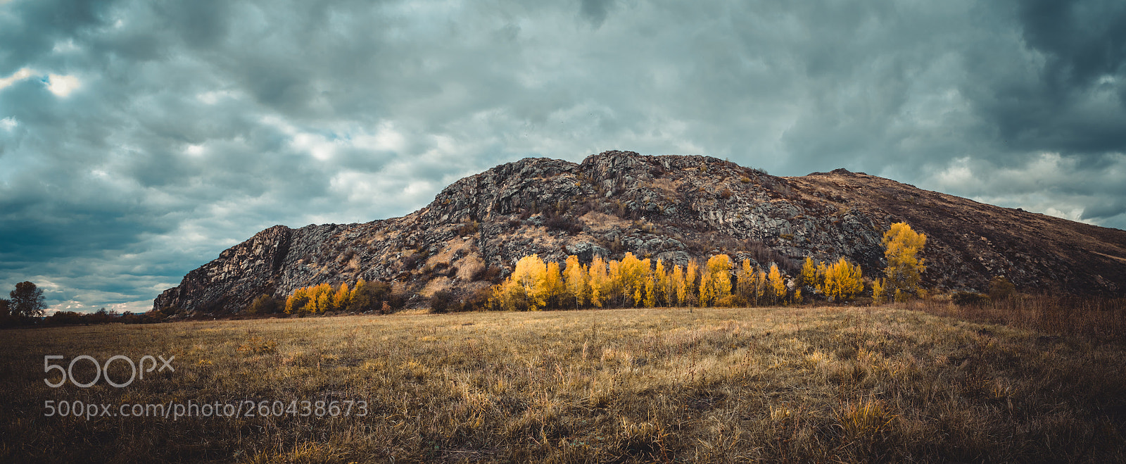 Nikon D5300 sample photo. Autumn photography