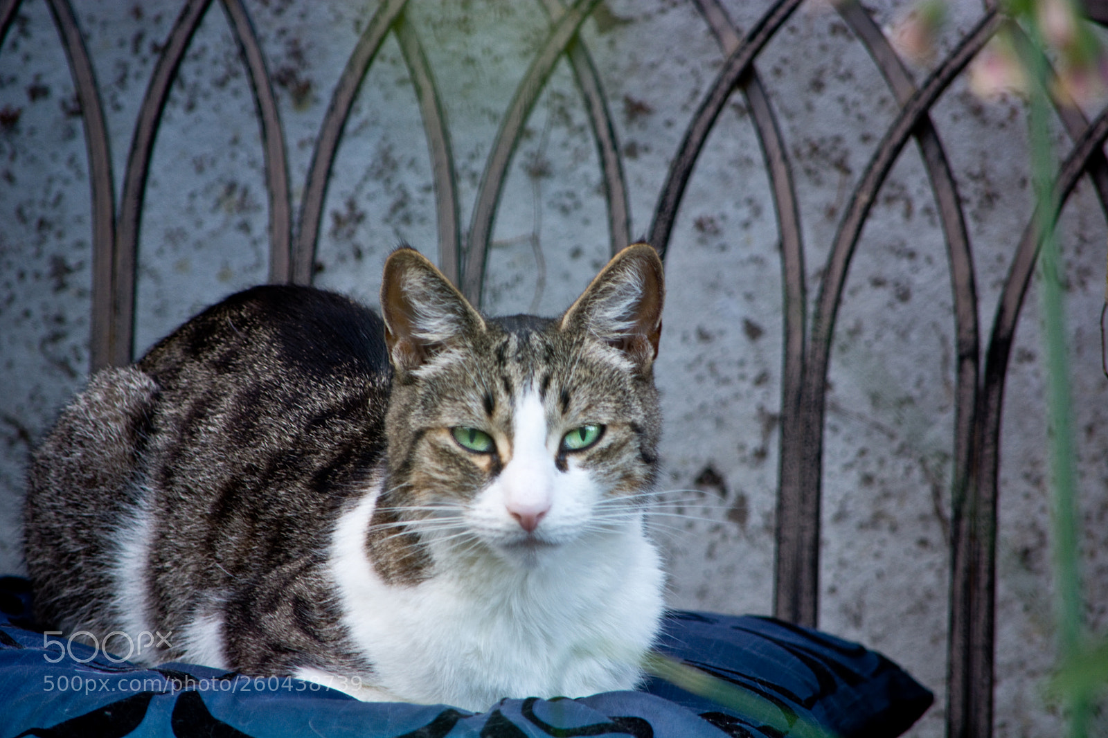 Nikon D7100 sample photo. Relax photography